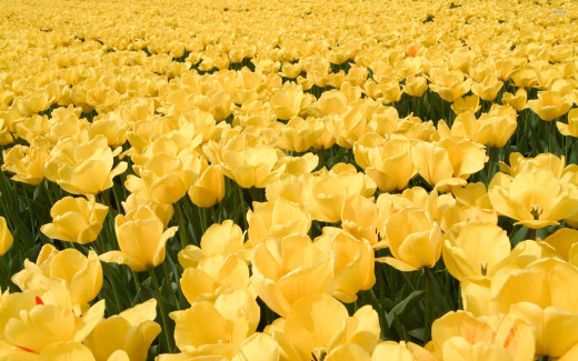 850697 (a): :2560x1600